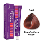 TINTURA PRIMONT 5.60 X 60G