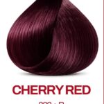 TINTURA COLOR MASTER FIDELITE R + 222  RED CHERRY X 60G